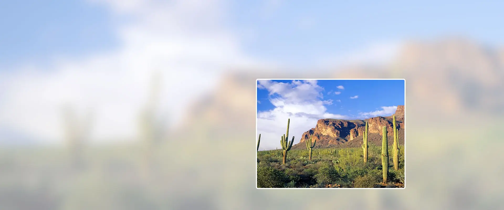 A desert landscape with cactus and mountains in the background.